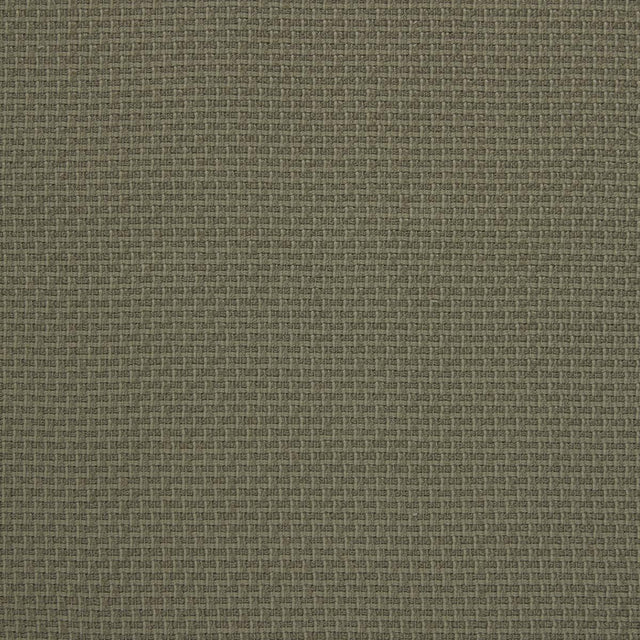 Lizzo LEZNA 01 Upholstery Fabric