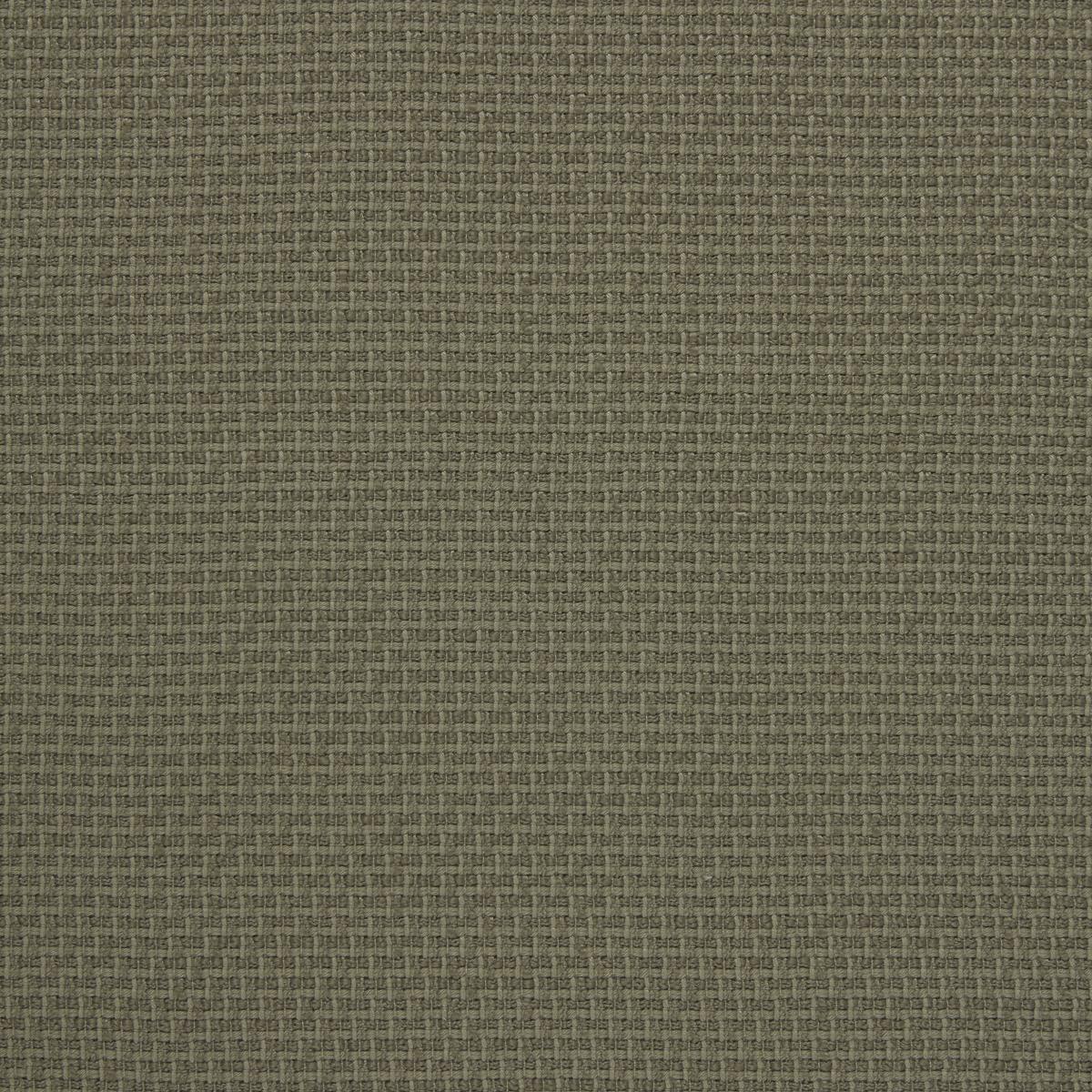 Lizzo LEZNA 01 Upholstery Fabric