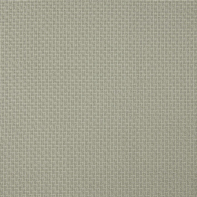 Lizzo LEZNA 16 Upholstery Fabric