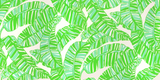 Lee Jofa GO BANANAS WP WHITE/GREEN Wallpaper