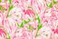 Lee Jofa PINK COLONY WP GREEN/PINK Wallpaper