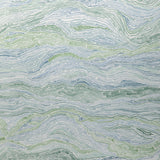 Kravet SWAMI WP MEADOW Wallpaper