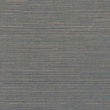 Winfield Thybony DISTINCTIVE SISALS SILVER BLUEP Wallpaper