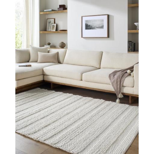 Surya Cloud 19 CLD-2303 2' x 3' Rug
