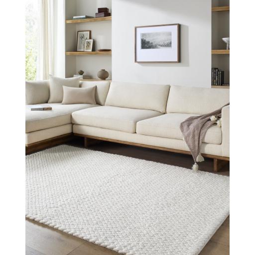 Surya Cloud 19 CLD-2304 8' x 10' Rug