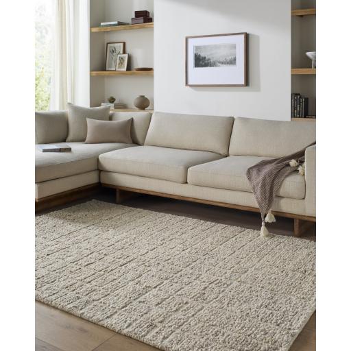 Surya Divine DVN-2304 12' x 15' Rug