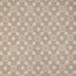 Kravet SIRIDAO DRIFTWOOD Fabric
