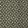 Kravet SIRIDAO MOSS Fabric