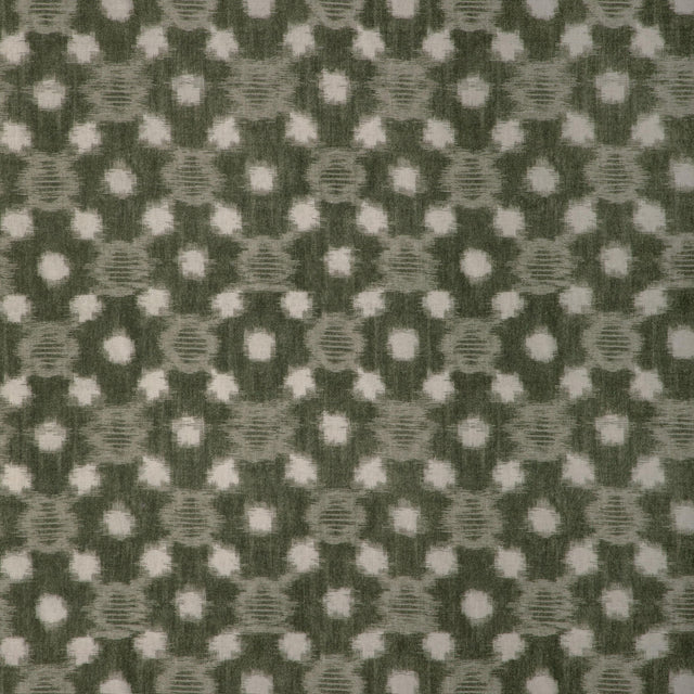Kravet SIRIDAO MOSS Fabric