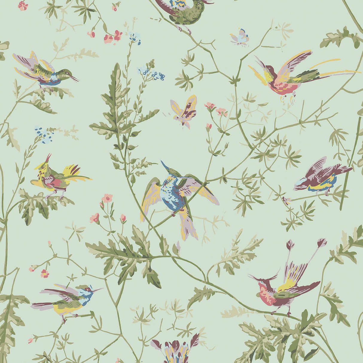Cole & Son HUMMINGBIRDS SPA/MULTI Wallpaper