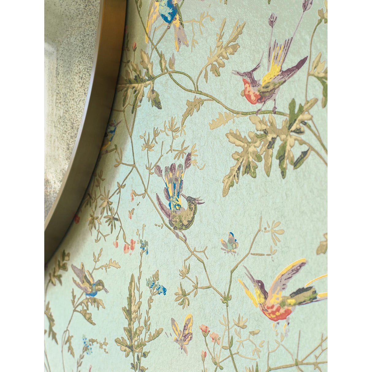 Cole & Son HUMMINGBIRDS SPA/MULTI Wallpaper