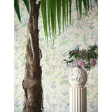 Cole & Son HUMMINGBIRDS BLUSH SAGE Wallpaper