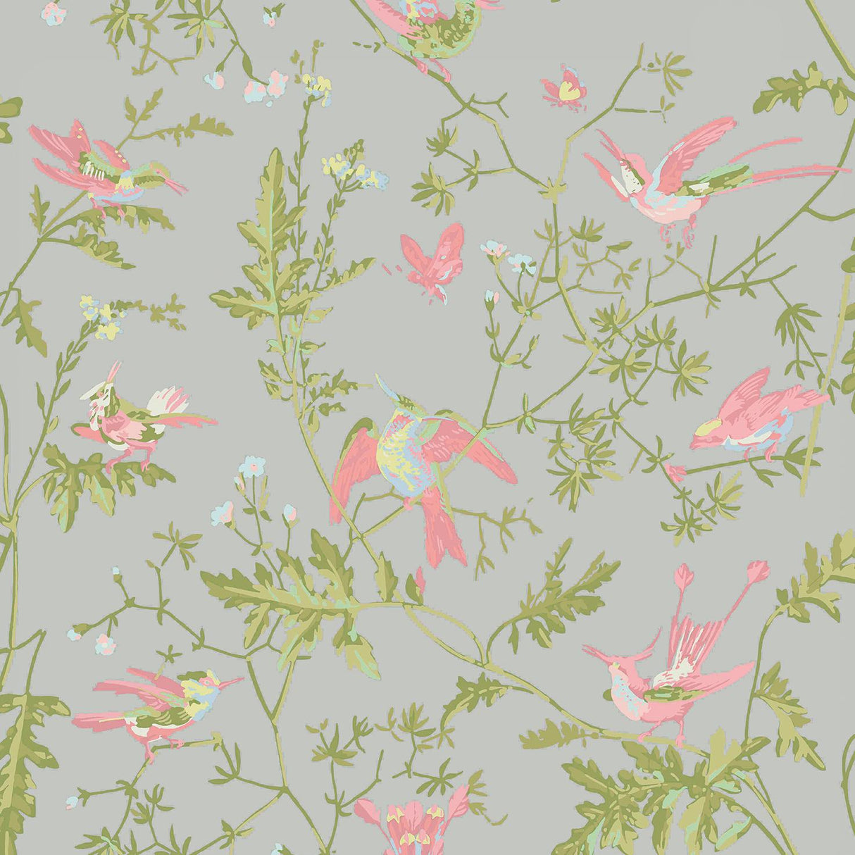 Cole & Son HUMMINGBIRDS GREY/PINK Wallpaper
