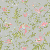 Cole & Son HUMMINGBIRDS GREY/PINK Wallpaper