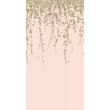Cole & Son HUMMINGBIRDS FLORA PINK Wallpaper