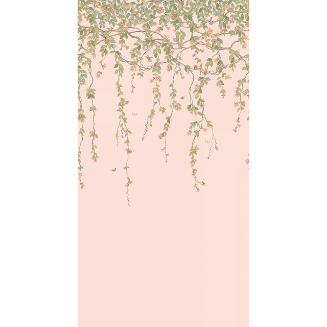Cole & Son HUMMINGBIRDS FLORA PINK Wallpaper