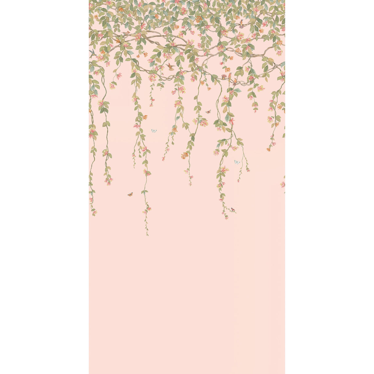 Cole & Son HUMMINGBIRDS FLORA PINK Wallpaper