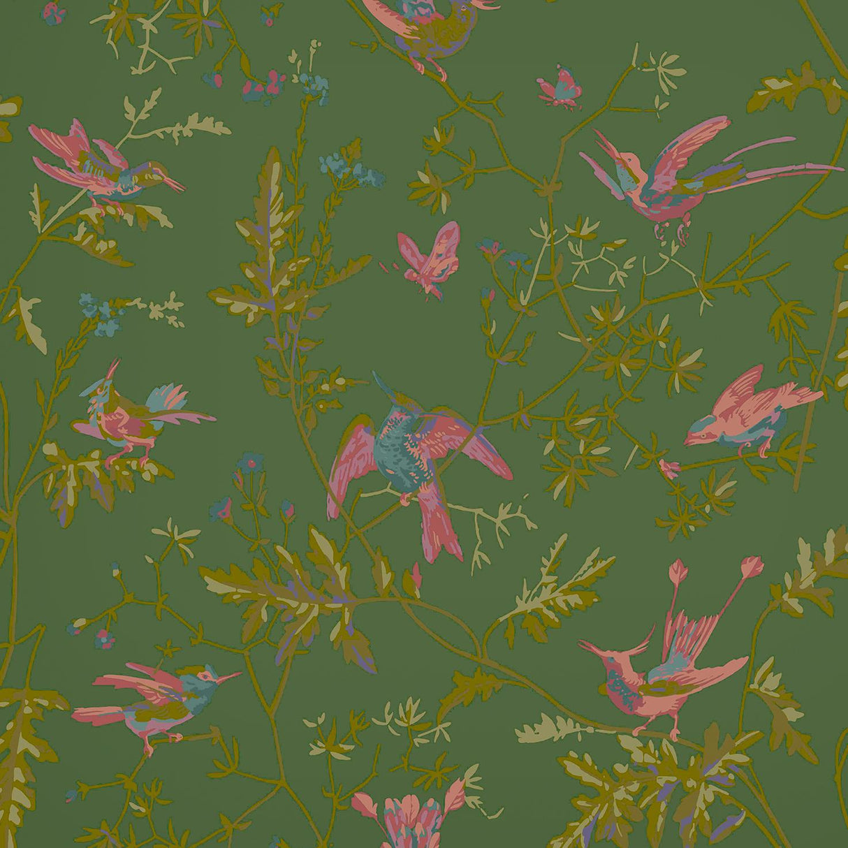 Cole & Son HUMMINGBIRDS SAGE/PINK Wallpaper
