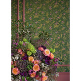 Cole & Son HUMMINGBIRDS SAGE/PINK Wallpaper