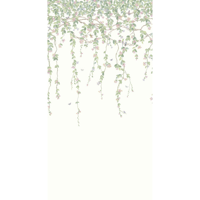 Cole & Son HUMMINGBIRDS FLORA BLUSH Wallpaper