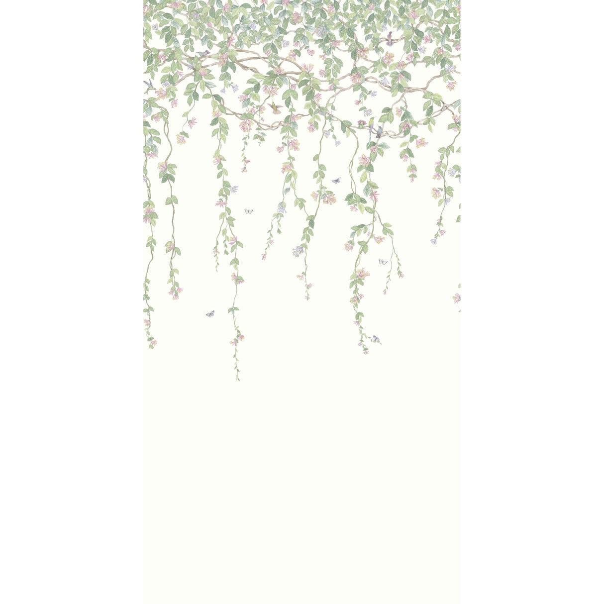 Cole & Son HUMMINGBIRDS FLORA BLUSH Wallpaper