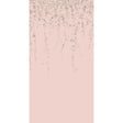 Cole & Son HUMMINGBIRDS FLORA PINK/GREY Wallpaper