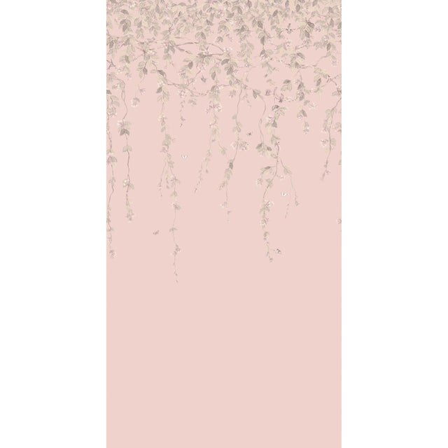 Cole & Son HUMMINGBIRDS FLORA PINK/GREY Wallpaper