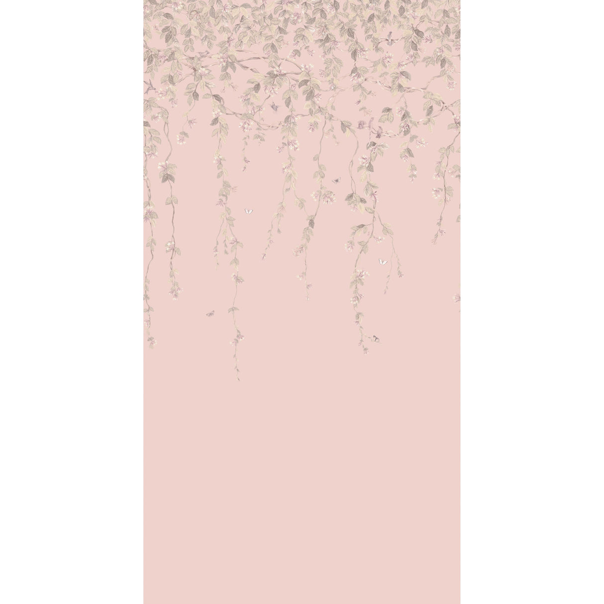 Cole & Son HUMMINGBIRDS FLORA PINK/GREY Wallpaper