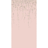 Cole & Son HUMMINGBIRDS FLORA PINK/GREY Wallpaper