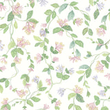 Cole & Son FLORA PINK/PURPLE Wallpaper
