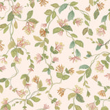 Cole & Son FLORA PINK/ORANGE Wallpaper