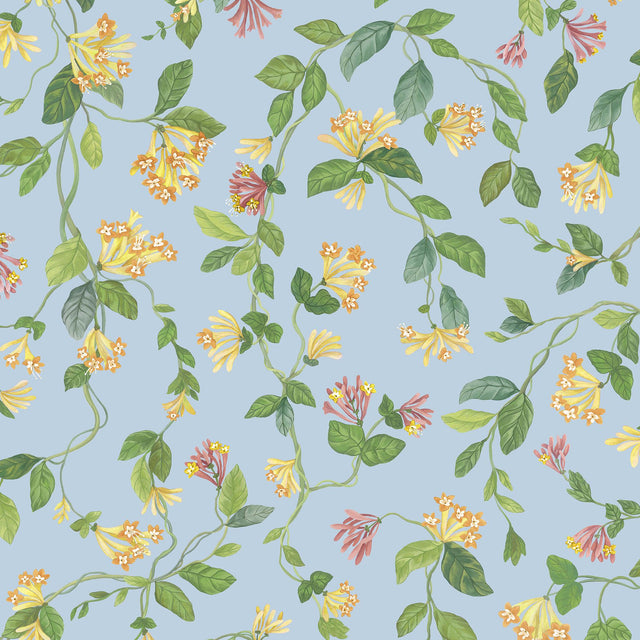 Cole & Son FLORA BLUE/ORANGE Wallpaper