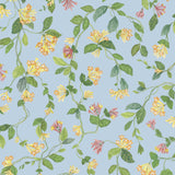 Cole & Son FLORA BLUE/ORANGE Wallpaper