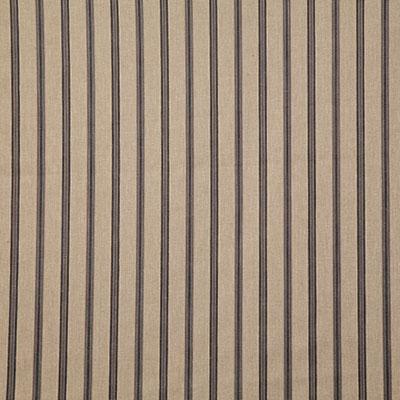 Pindler AINSWORTH STONE Fabric