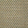 Pindler BRENDEL SPROUT Fabric