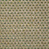 Pindler BRENDEL SPROUT Fabric