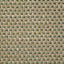 Pindler BRENDEL SPROUT Fabric