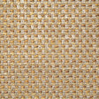 Pindler BRENDEL BUTTERSCOTCH Fabric