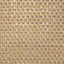 Pindler BRENDEL BUTTERSCOTCH Fabric