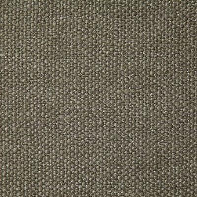 Pindler NOAKES CAPER Fabric