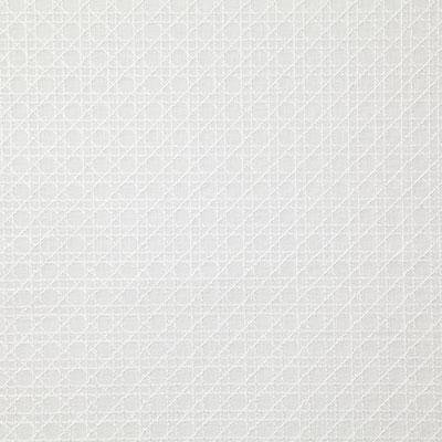 Pindler PARKER WHITE Fabric