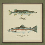 Schumacher Jamie'S Trophies Sisal Forest Green Wallpaper