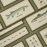 Schumacher Jamie'S Trophies Sisal Forest Green Wallpaper