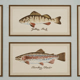 Schumacher Jamie'S Trophies Sisal Sky Wallpaper