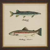 Schumacher Jamie'S Trophies Sisal Charcoal Wallpaper