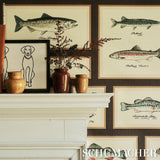 Schumacher Jamie'S Trophies Sisal Charcoal Wallpaper