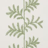 Schumacher Eloise Embroidery Wallcovering Sage Wallpaper