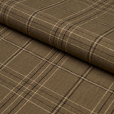 Schumacher Nils Plaid Linen Lichen Fabric