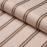 Schumacher Briony Stripe Cameo Fabric