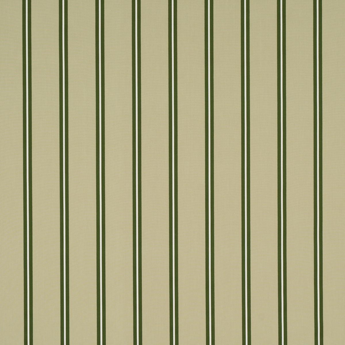 Schumacher Briony Stripe Leaf Fabric